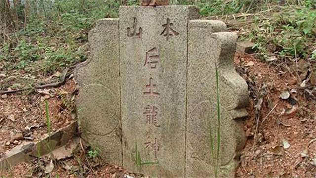 1681710431626.jpg