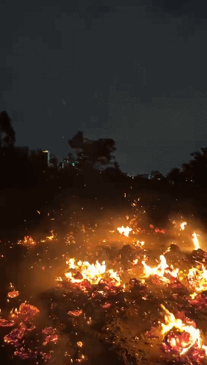6ei.gif